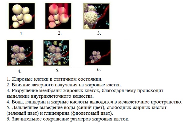 тмд650 2.jpg